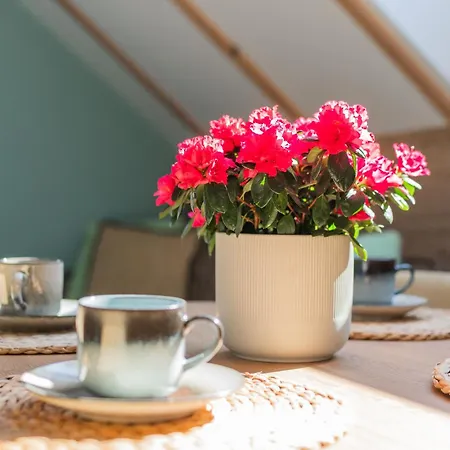 Dwie Sosny Junoszyno