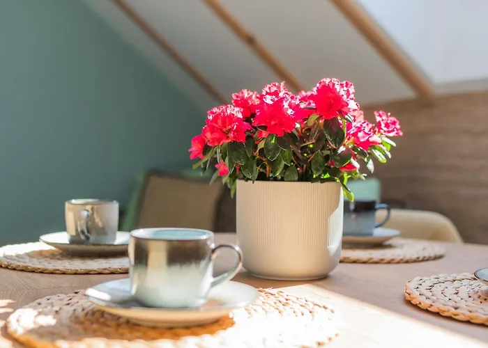 Dwie Sosny Junoszyno